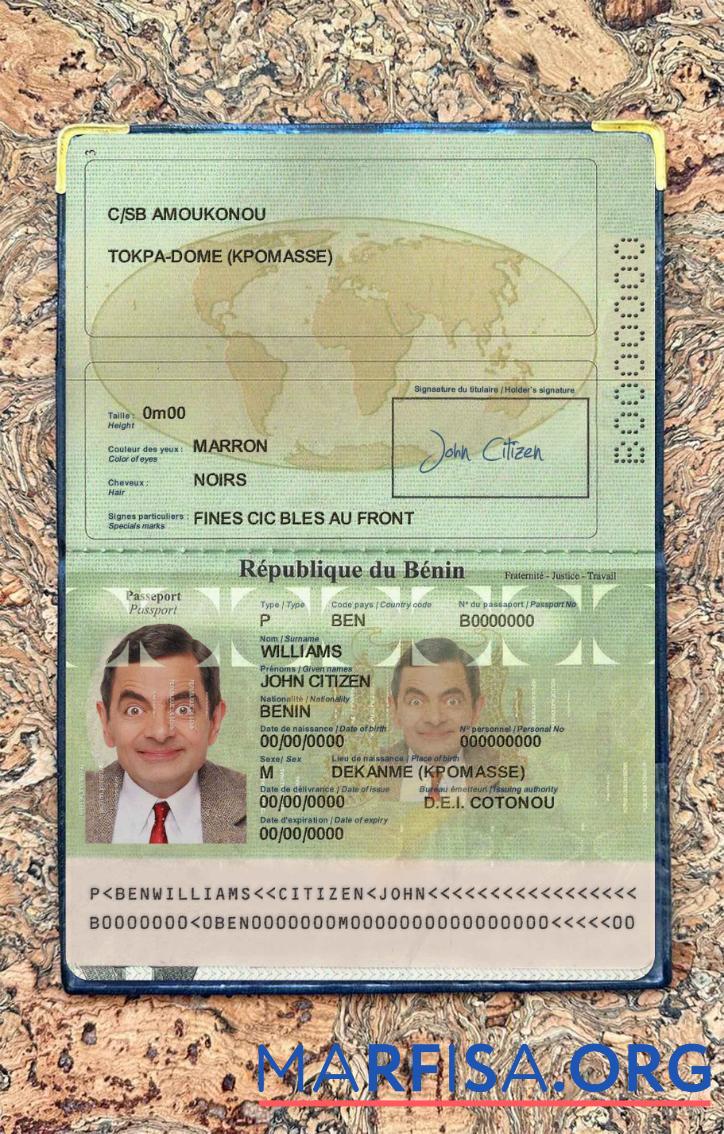 Realistic Benin passport photo look real example